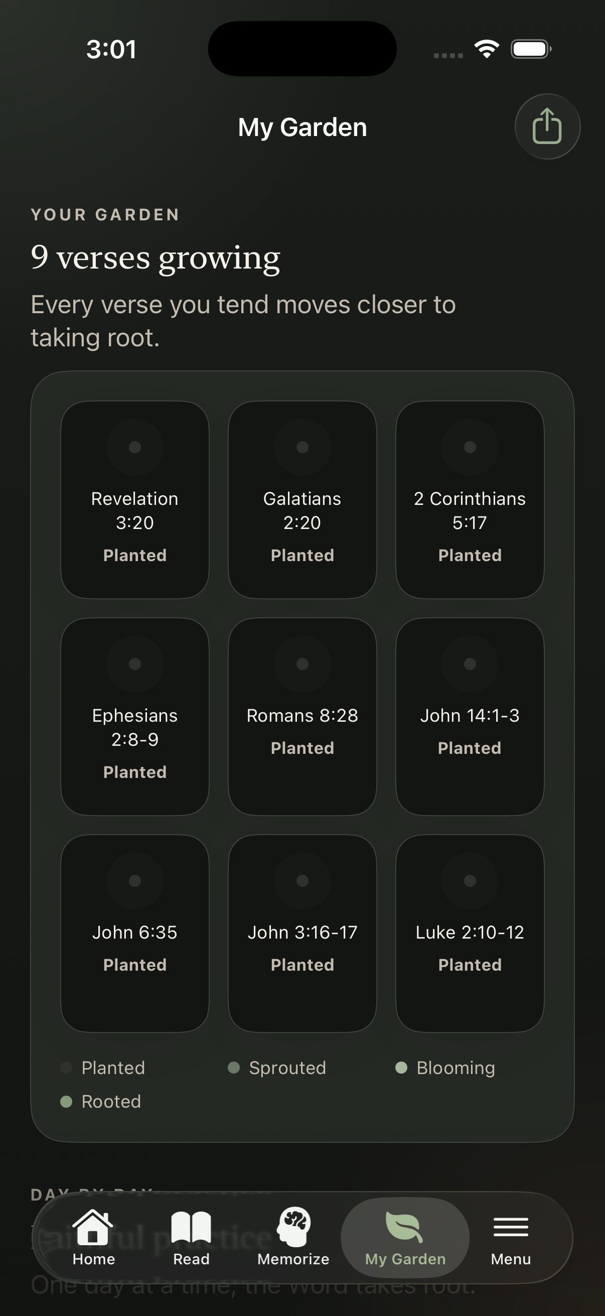 Personal garden view showing 9 verses growing across different stages